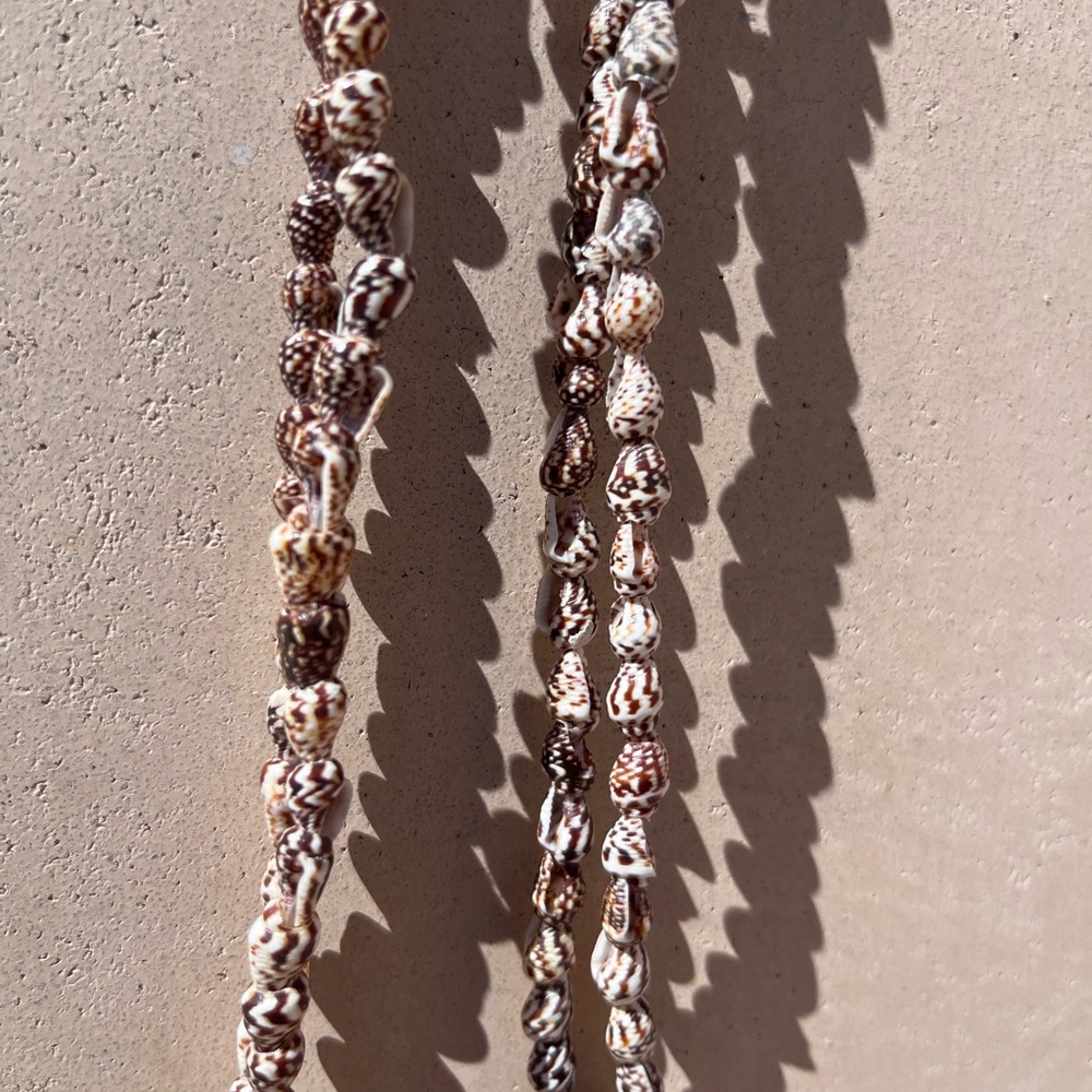 Long sea shell necklace